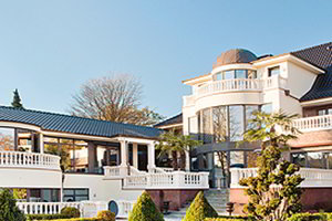 Виллы и замки проекты