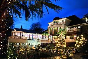 Виллы и замки проекты